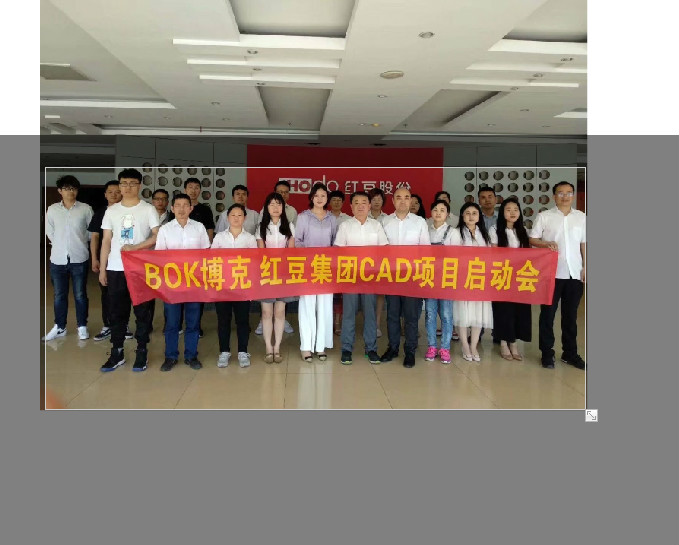 【喜讯】深圳BOK博克&红豆集团CAD项目启动会
